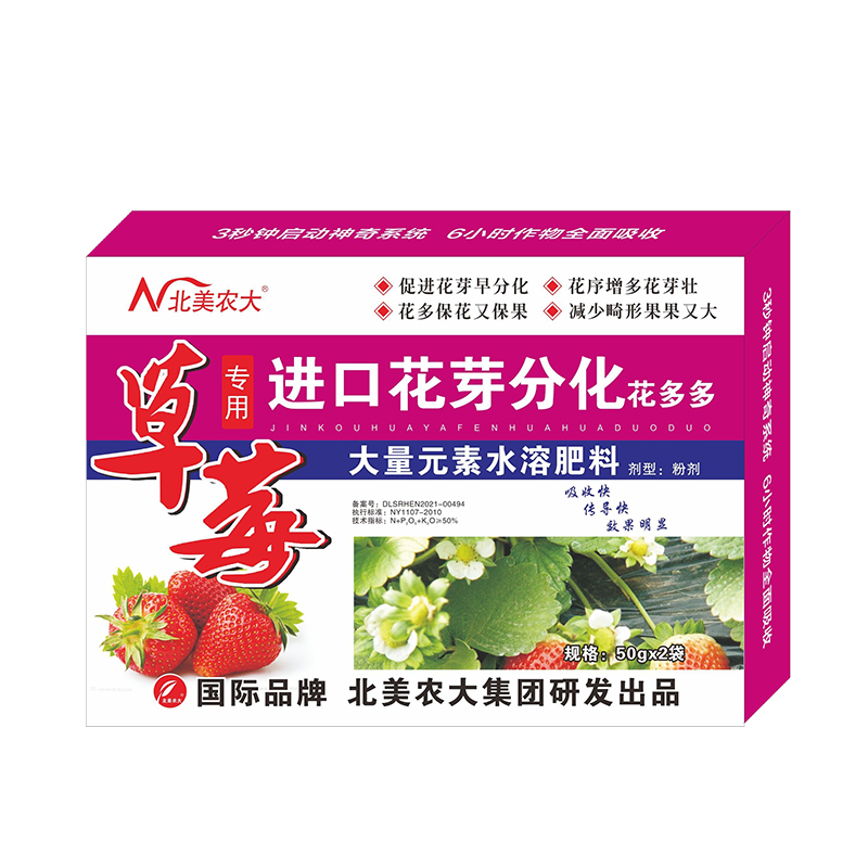 草莓專用進口花芽分化花多多