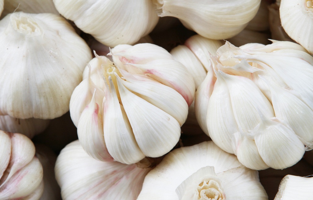 殺蟲劑，特效殺菌劑，沖施肥，生長(zhǎng)調(diào)節(jié)劑，葉面肥，農(nóng)藥廠家