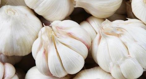 殺蟲劑，特效殺菌劑，沖施肥，生長(zhǎng)調(diào)節(jié)劑，葉面肥，農(nóng)藥廠家