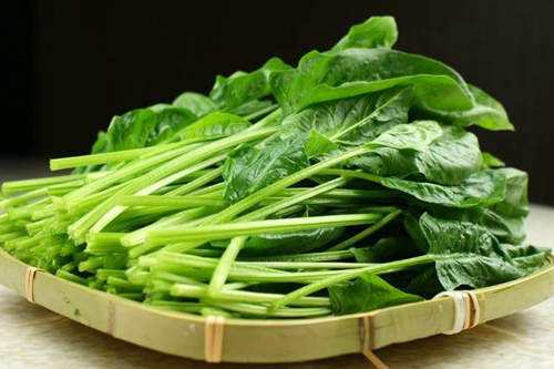 菠菜使用葉面肥時(shí)應(yīng)注意什么？