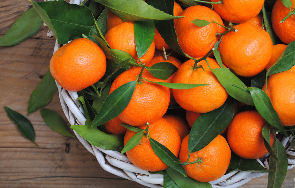 沖施肥廠家建議各位農(nóng)戶務(wù)必重視柑橘異常落葉 沖施肥廠家建議各位農(nóng)戶務(wù)必重視柑橘異常落葉