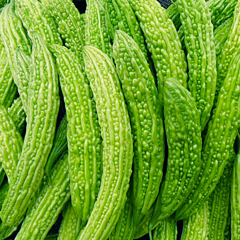 苦瓜遭遇病蟲害怎么辦？