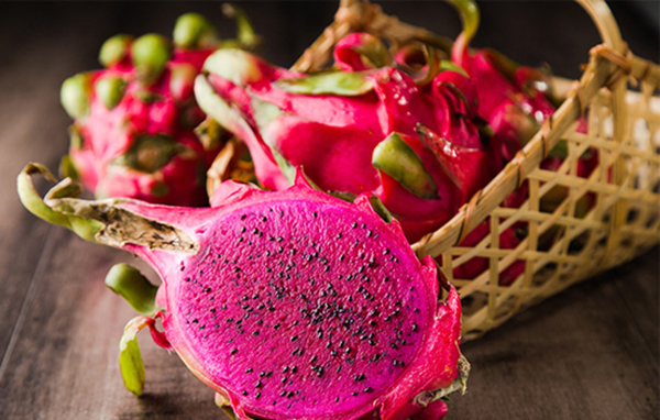 火龍果何時(shí)使用沖施肥？