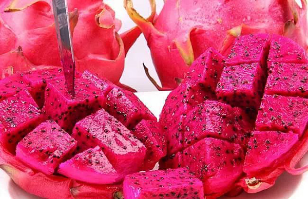 火龍果何時(shí)使用沖施肥？