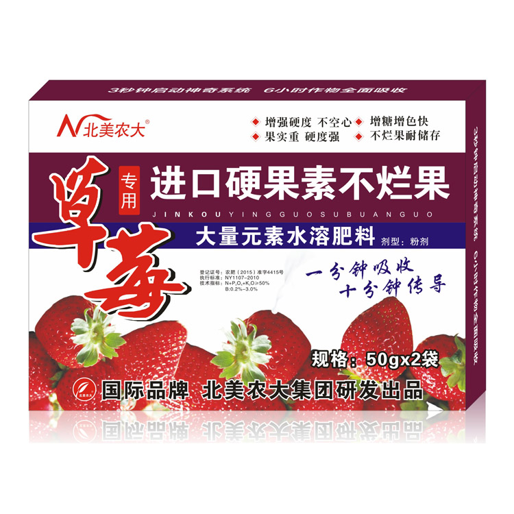 草莓進(jìn)口硬果素不爛果 草莓進(jìn)口硬果素不爛果